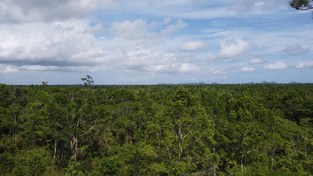 listing image with ID 63956