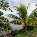 listing image thumbnail with ID 64164