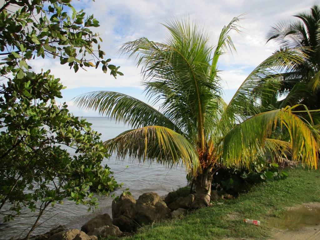 listing image with ID 64164