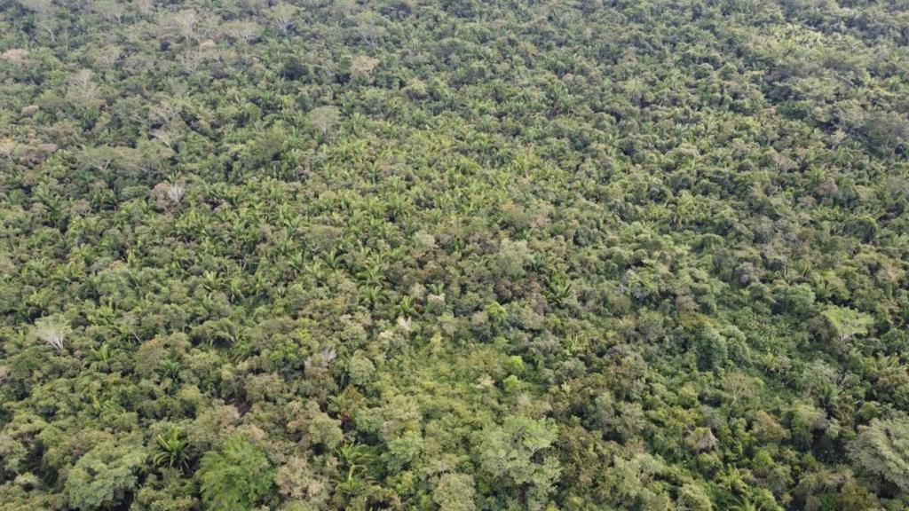 listing image with ID 65043