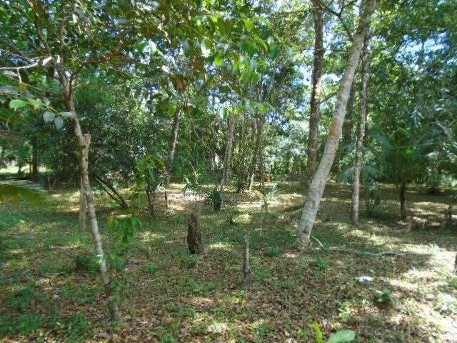 listing image with ID 64802