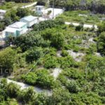 listing image thumbnail with ID 66525