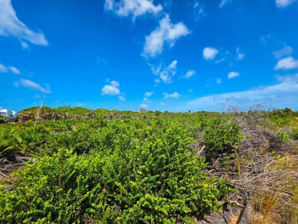 listing image with ID 68184