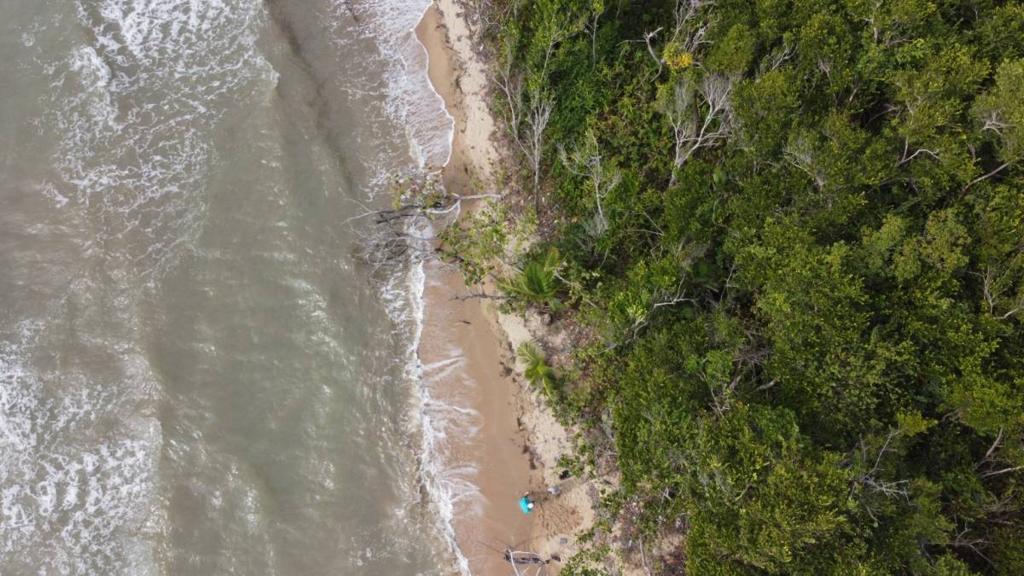 listing image with ID 64026