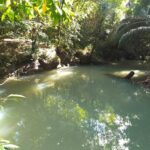 listing image thumbnail with ID 65531