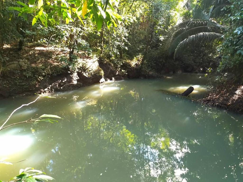 listing image with ID 65531