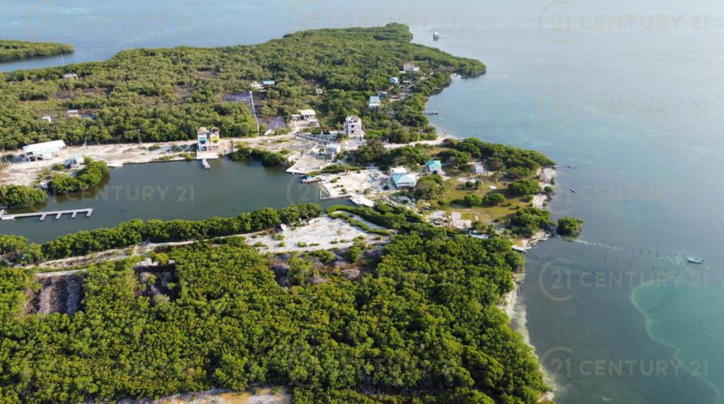 listing image with ID 64563