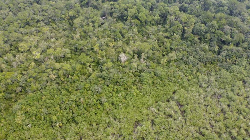 listing image with ID 67840