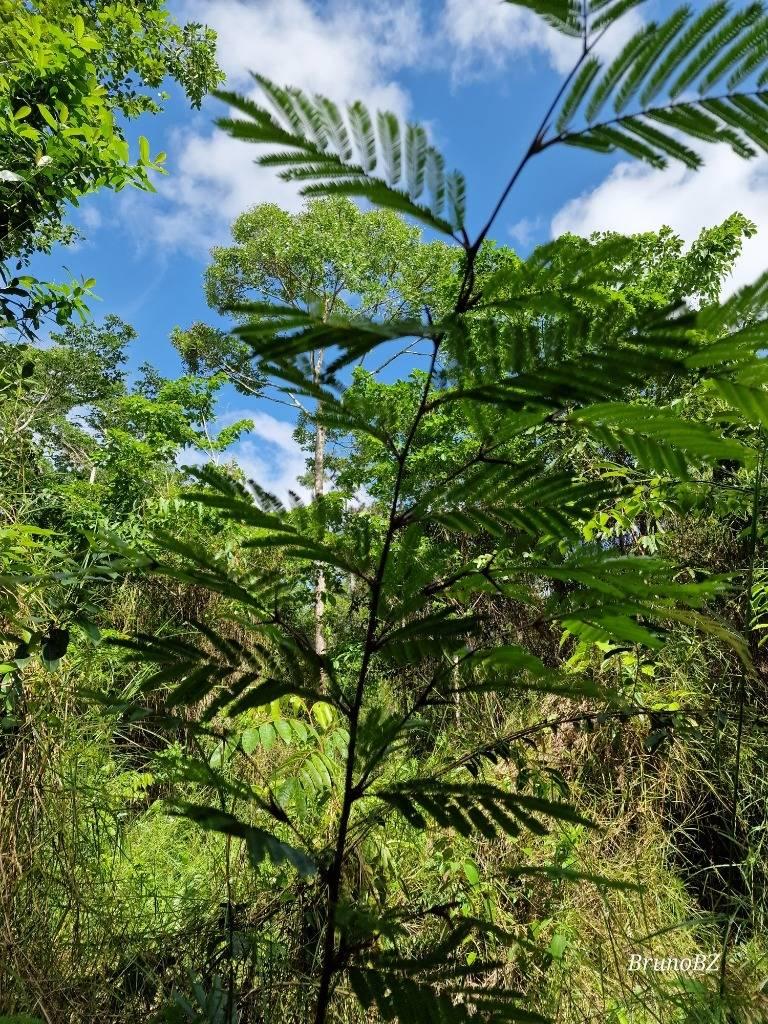 listing image with ID 63944