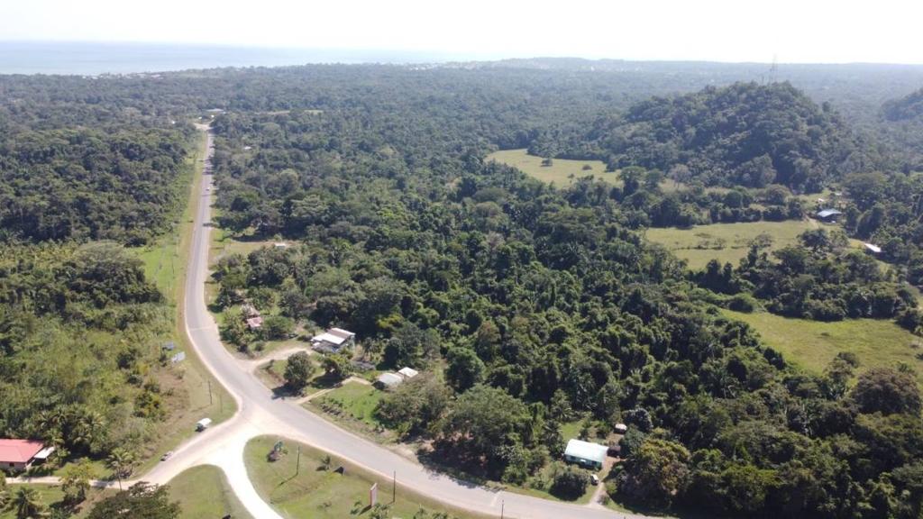 listing image with ID 64954