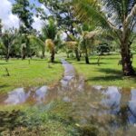 listing image thumbnail with ID 67901