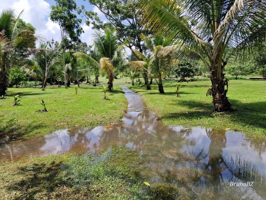 listing image with ID 67901