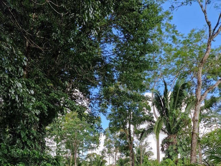 listing image with ID 64211