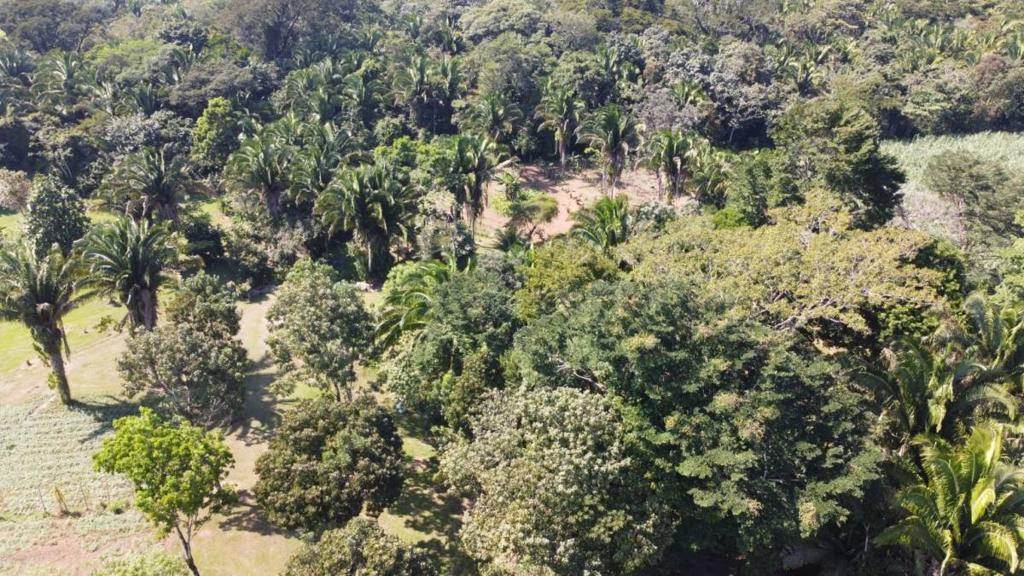 listing image with ID 64952