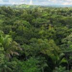 listing image thumbnail with ID 65894