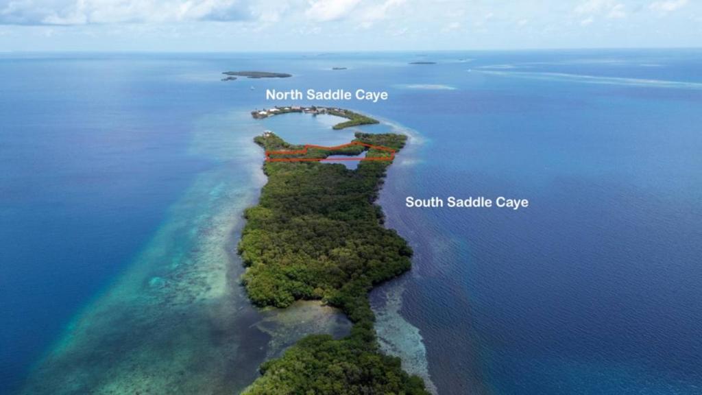 listing image with ID 66835