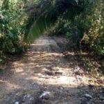 listing image thumbnail with ID 67308