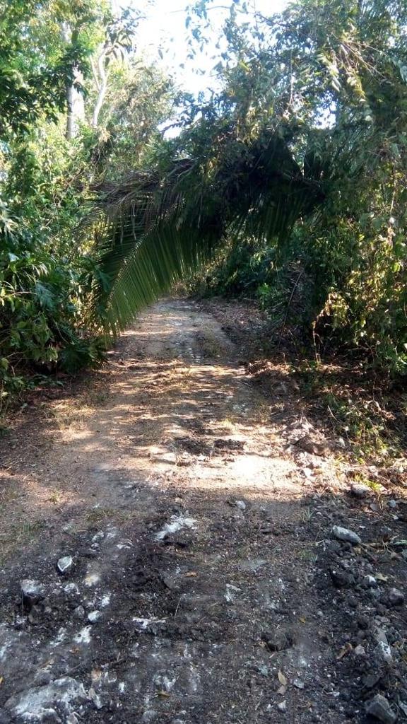 listing image with ID 67308