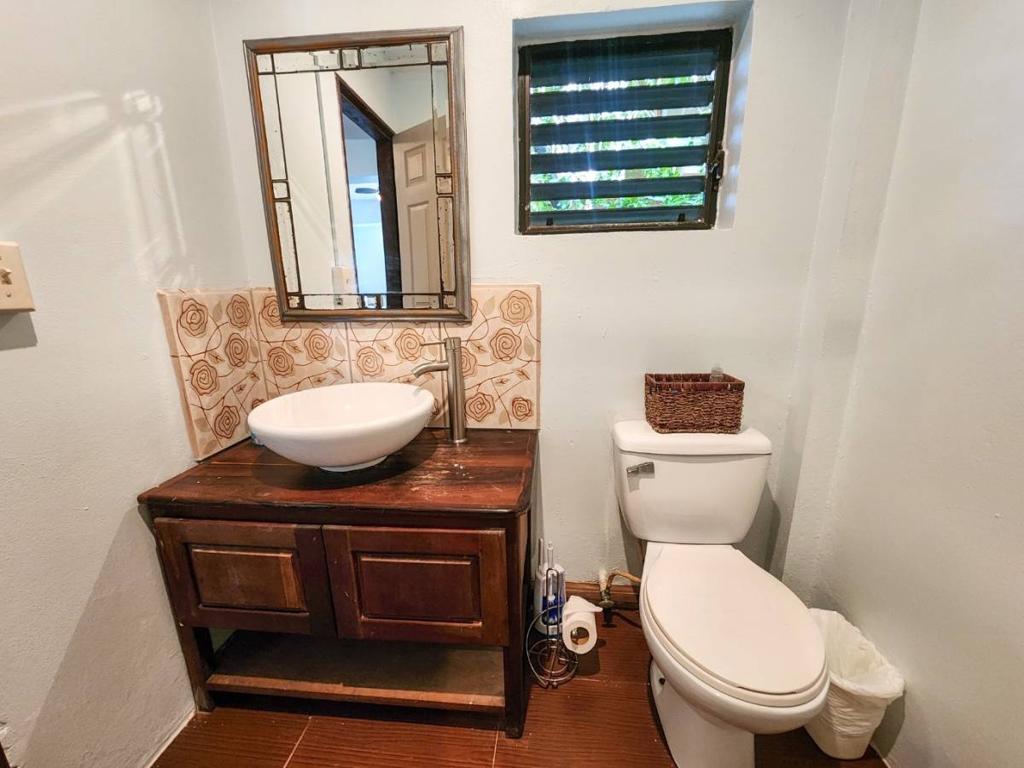 listing image with ID 66932