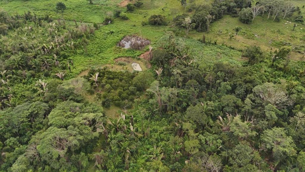 listing image with ID 65265