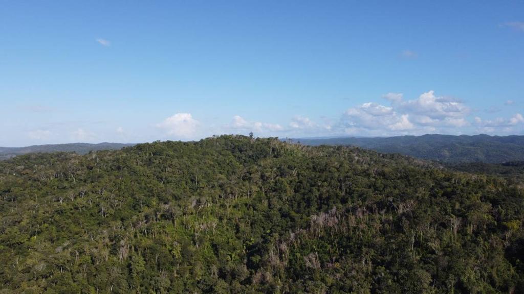 listing image with ID 67762