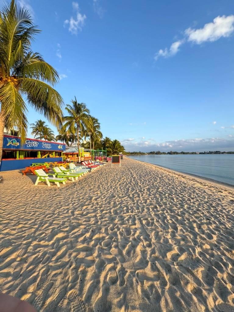 listing image with ID 68165