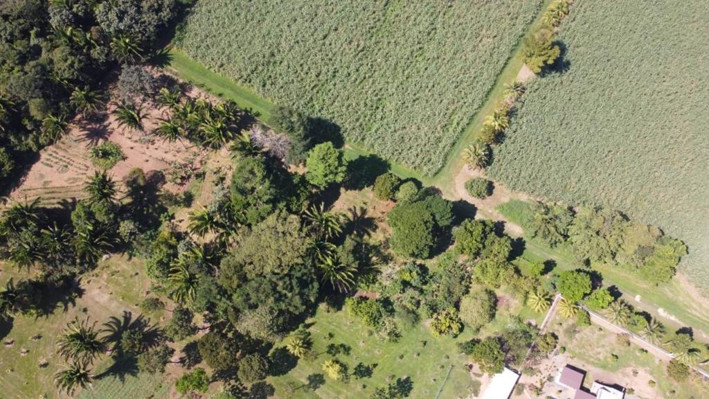 listing image with ID 64947