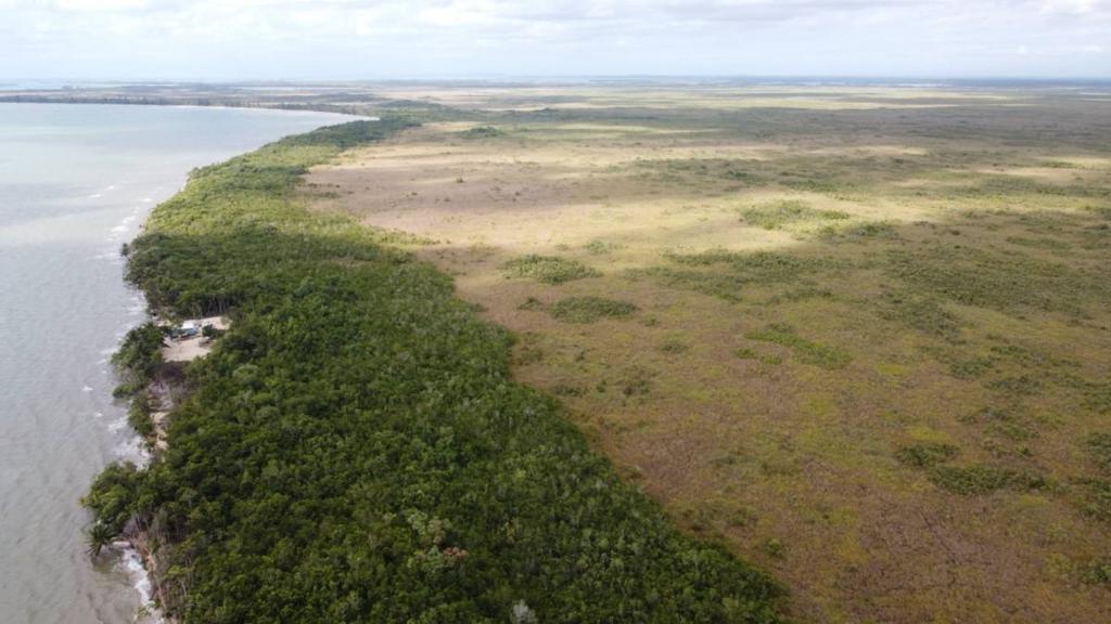 listing image with ID 64011