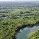 listing image thumbnail with ID 64185