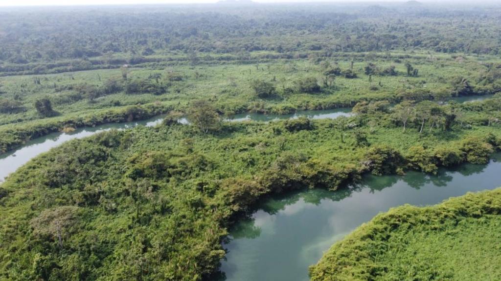 listing image with ID 64185