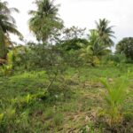 listing image thumbnail with ID 64174