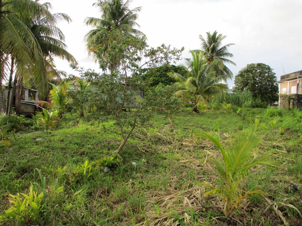 listing image with ID 64174