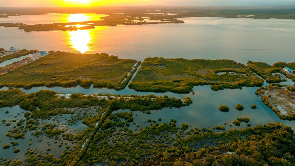 listing image with ID 68721