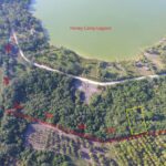 listing image thumbnail with ID 64920