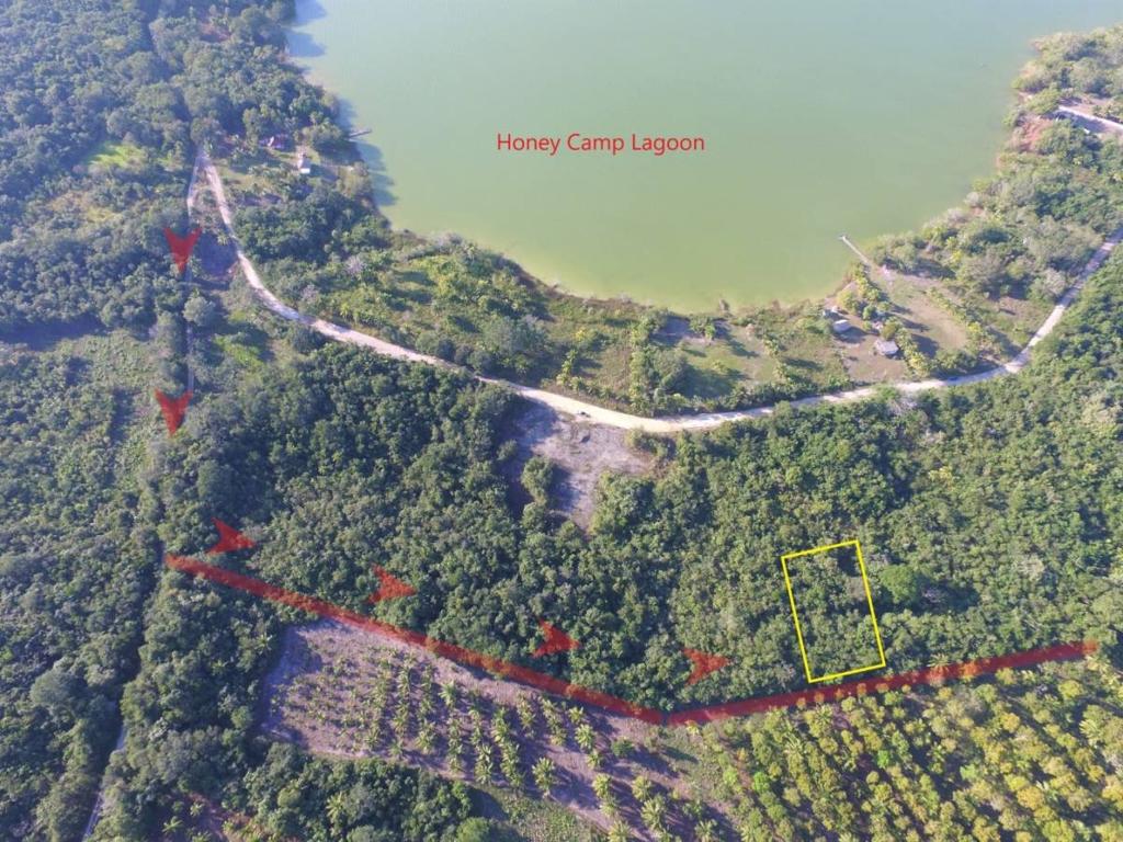 listing image with ID 64920