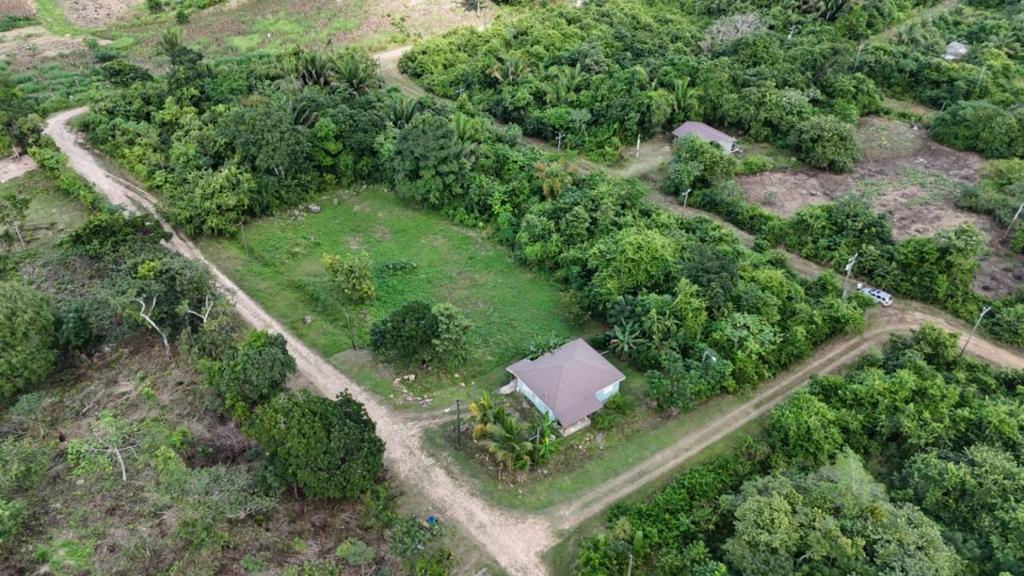 listing image with ID 67160