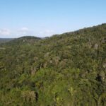 listing image thumbnail with ID 67760