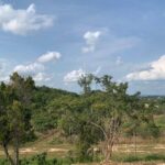 listing image thumbnail with ID 65205