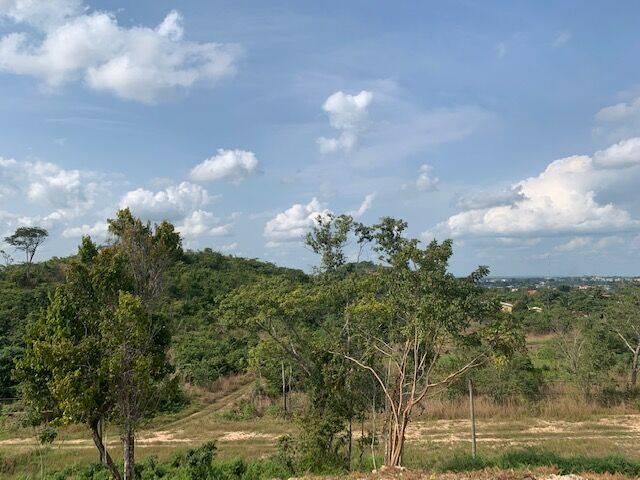 listing image with ID 65205