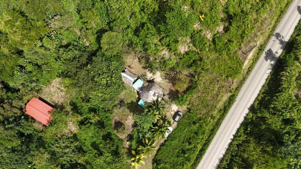 listing image with ID 66138