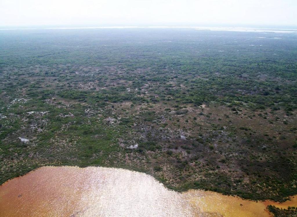 listing image with ID 68093