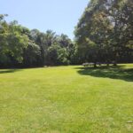 listing image thumbnail with ID 67746