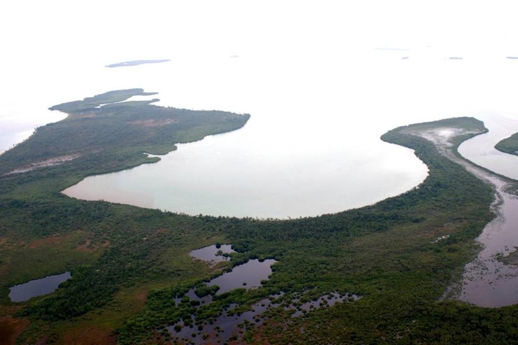 listing image with ID 64494