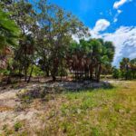 listing image thumbnail with ID 65812