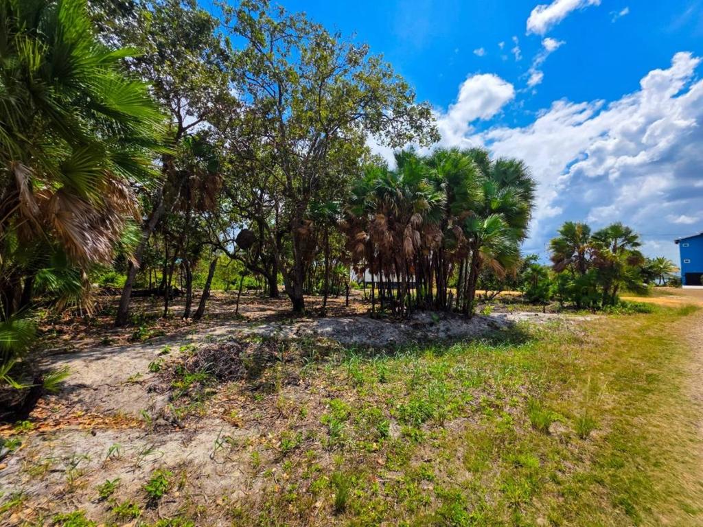 listing image with ID 65812