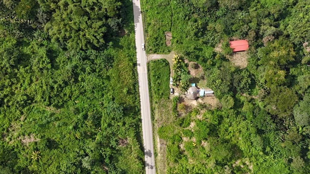 listing image with ID 66159