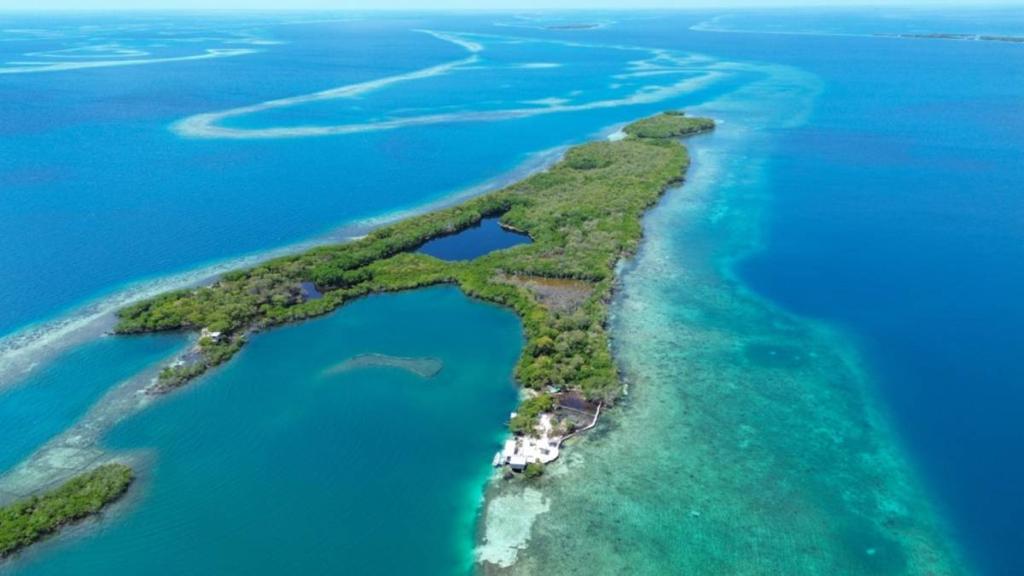 listing image with ID 65083