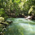 listing image thumbnail with ID 65497