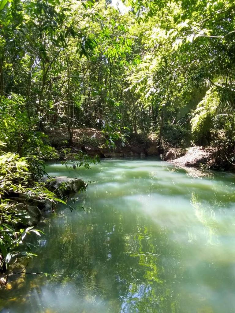 listing image with ID 65497