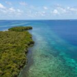 listing image thumbnail with ID 65090